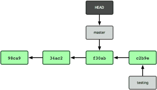 HEAD 分支